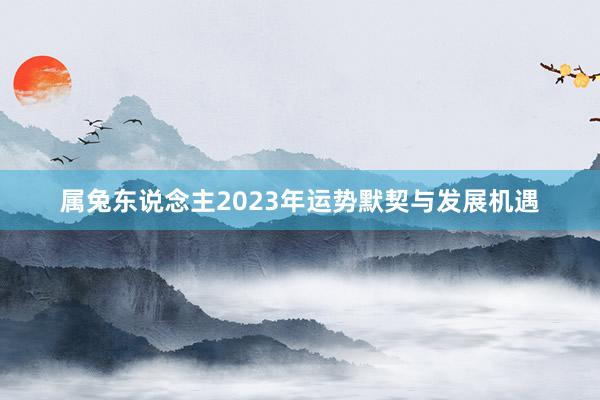属兔东说念主2023年运势默契与发展机遇