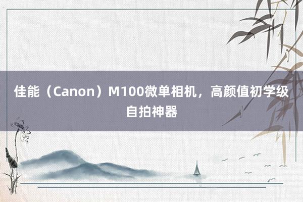 佳能（Canon）M100微单相机，高颜值初学级自拍神器