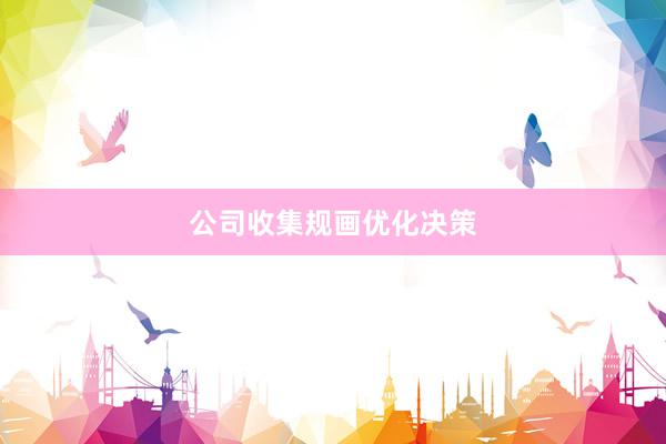 公司收集规画优化决策