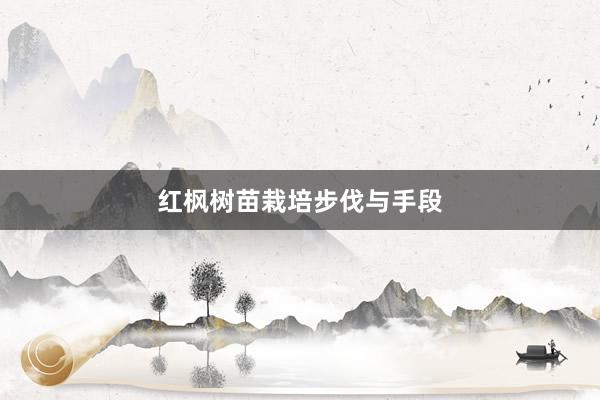红枫树苗栽培步伐与手段